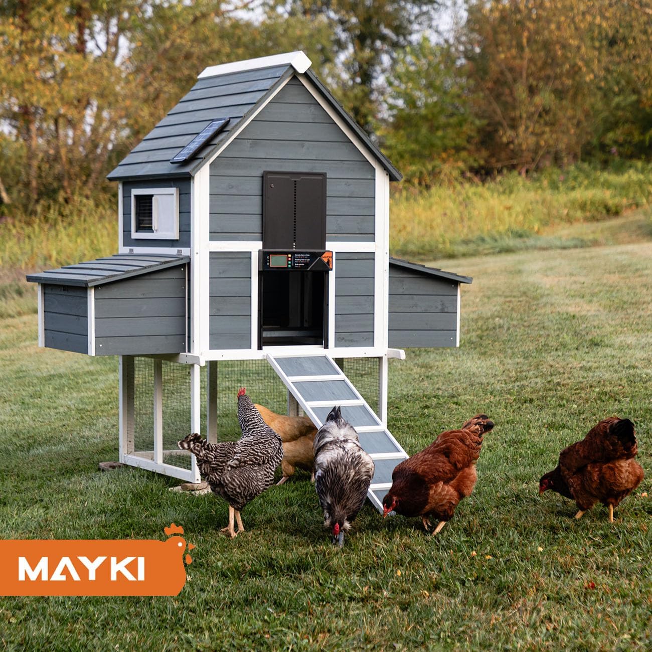 MAYKI Automatic Chicken Coop Door Solar Powered, Accessories Extra-Large with 4 Auto Modes (Timer & Light Sensor), Anti-Pinch, Waterproof Cold Weather, FCC/CE/RoHs Certified, Aluminum Build, M Black