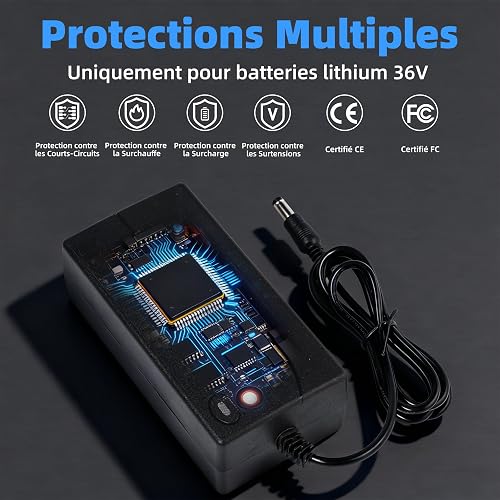 Chargeur Trottinette Électrique 42V 2A Universel (5 Connecteurs) – Alimentation pour Batterie Lithium 36V – Compatible avec Xiaomi, Ninebot Segway, Wispeed, Hoverboard et Vélo Électrique - 5