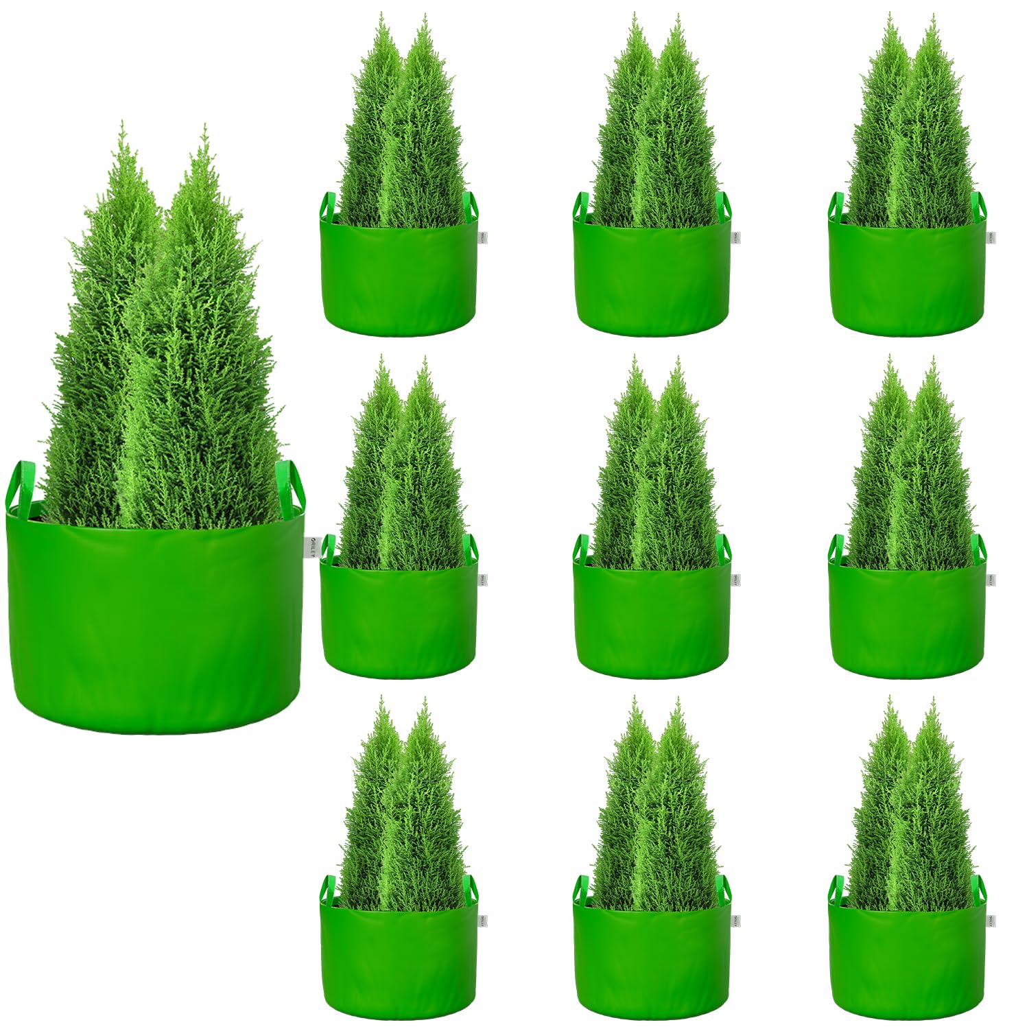 See full amazon price history chart for Oriley Grow Bag Heavy Duty HDPE Plants Flower Growing Bags Floor Standing Mount Type for Home Garden Balcony Terrace Kitchen Nursery (Green, Round with Handle, 250 GSM 10 x 6 inch Pack of 10) Oriley Grow Bag Heavy Duty HDPE Plants Flower Growing Bags Floor Standing Mount Type for Home Garden Balcony Terrace Kitchen Nursery (Green, Round with Handle, 250 GSM 10 x 6 inch Pack of 10) (B0BX9XK4LV) Amazon Price History, Amazon Price Tracker