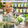 PChero Solar Irrigation System Kit, Self Automatic Greenhouse Drip Irrigation System with Timer Solar Watering Systems with 15M Hose for Garden Outdoor Indoor Plants Potted Lawn Yard Balcony Terrace