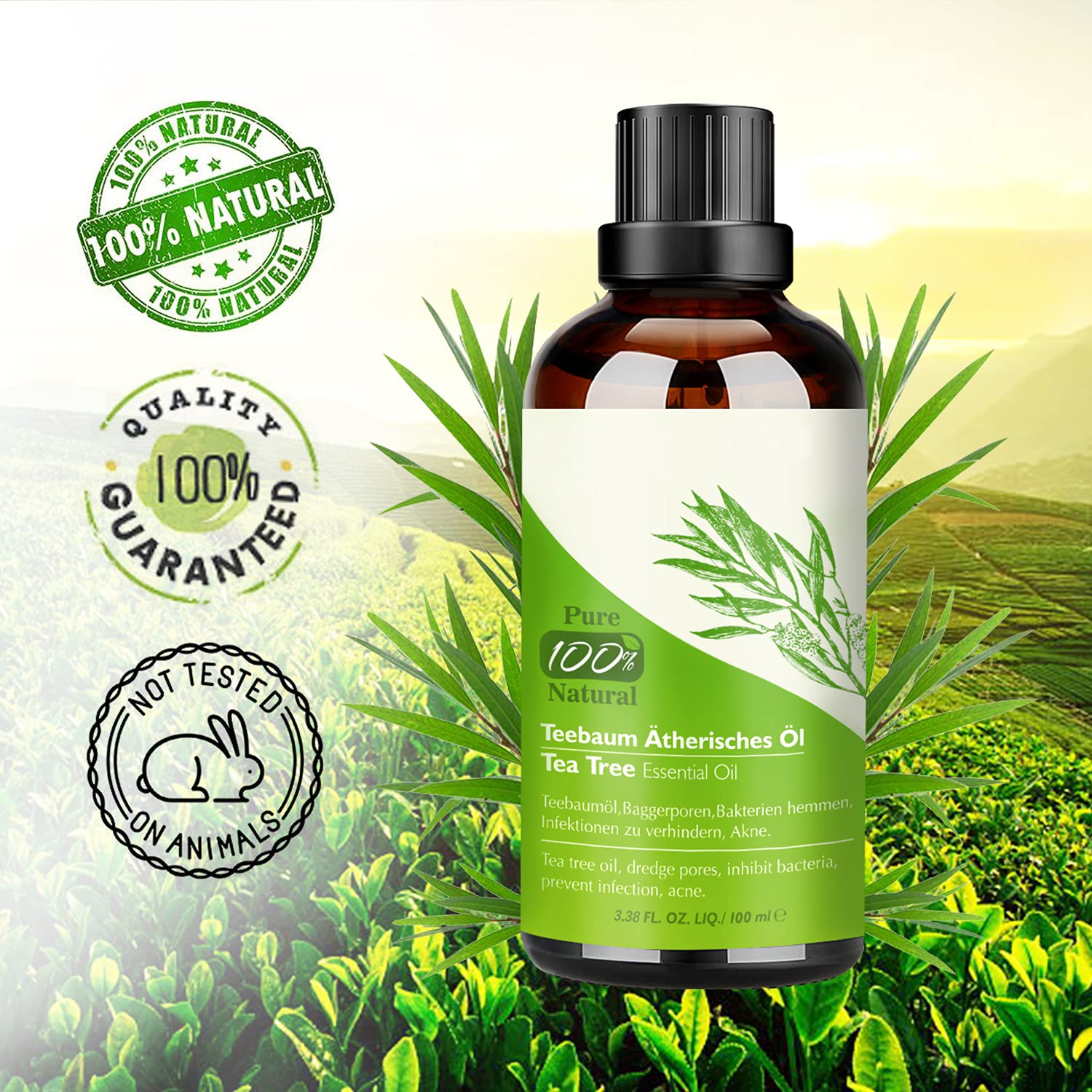 Aifanciey Tea Tree Oil 100 ML Olio Essenziale Tea Tree Puro 100% Anti Acne, Brufoli, Punti Neri, Unghie, Capelli e Corpo - Olio Essenziale di Albero del Tè per Aromaterapia Diffusore e Massaggio