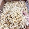 Dried Large Silver Fish Whitebait anchovies Anchovy Dried silver fish dried salangid 特大銀魚干 白飯魚 Free Worldwide Airmail (1000 grams)