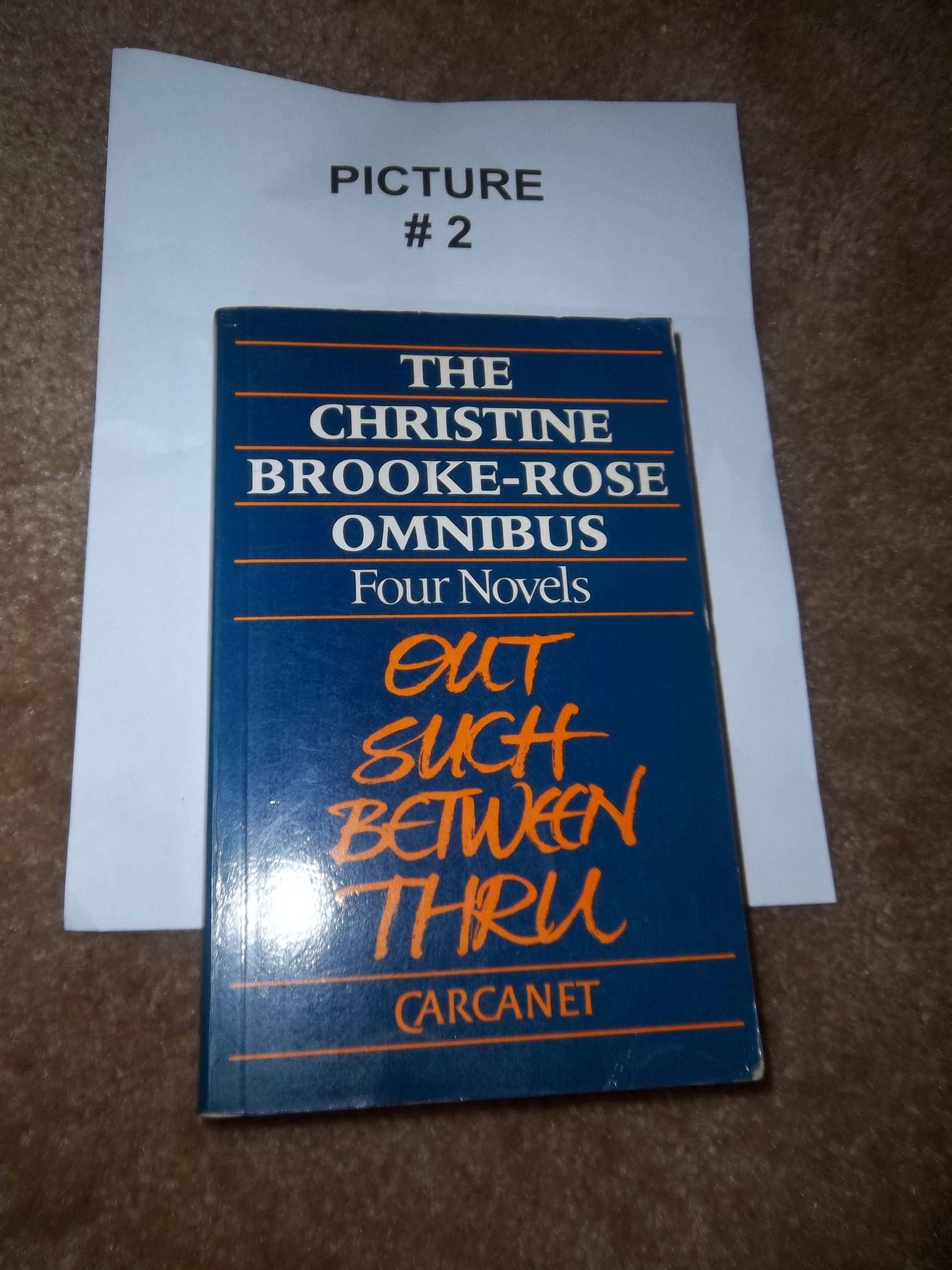 Cover of The Christine Brooke-Rose Omnibus: Four Novels
