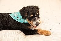 Vista 5 de Lazy One Bandana para perro, bandanas reversibles de algodón para todos los tamaños de perro (para bebé, mediano)