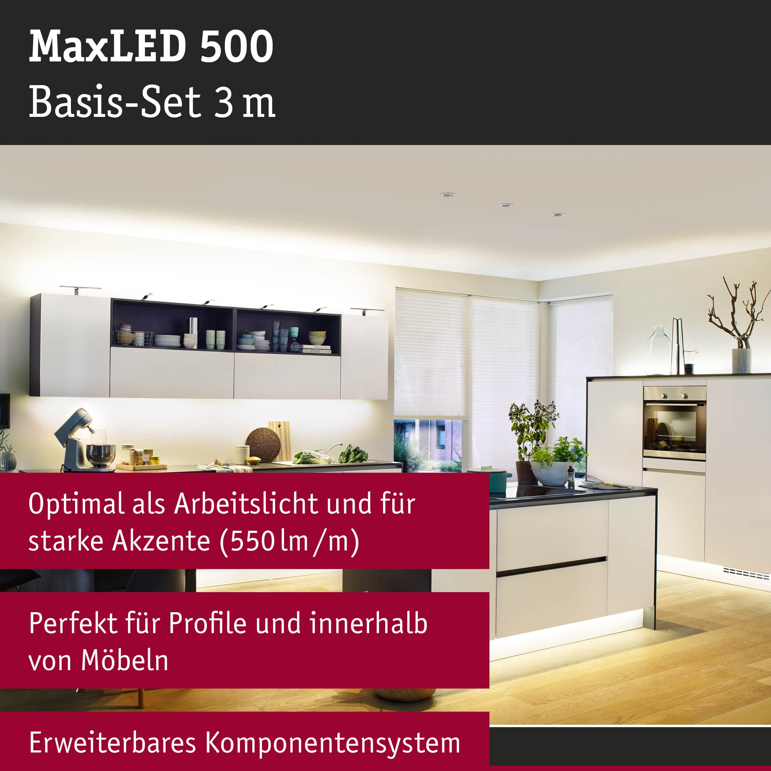 Paulmann 705.79 Juego básico Function MaxLED 500 3 m blanco cálido 20 W 230/24 V 36 VA plata 70579 Tira de luz LED, cinta de luz, tubo luminoso