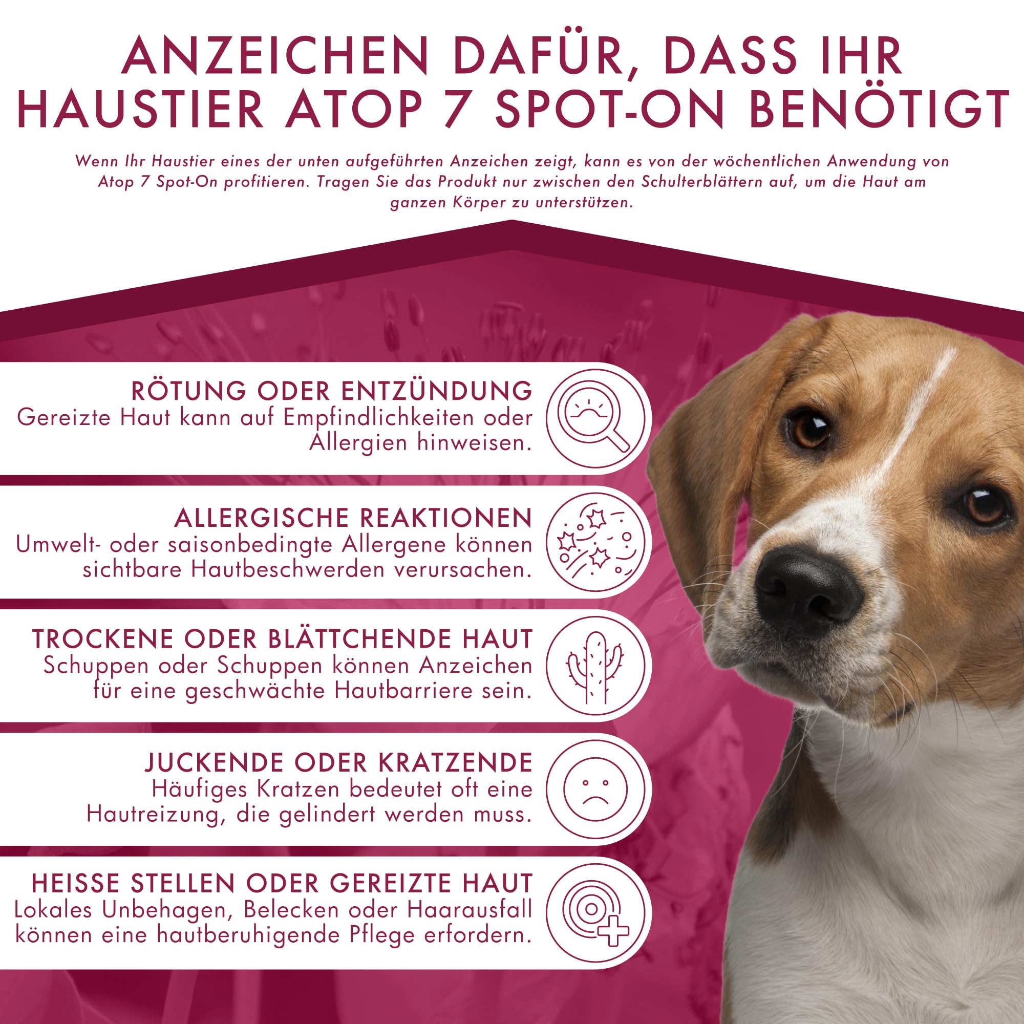 ATOP 7 Spot-On zur Beruhigung gereizter Haut bei Hunden und Katzen | Natürliche Linderung bei Juckreiz, Rötungen und Überempfindlichkeit | Formel mit ätherischen Ölen | 10-20 KG