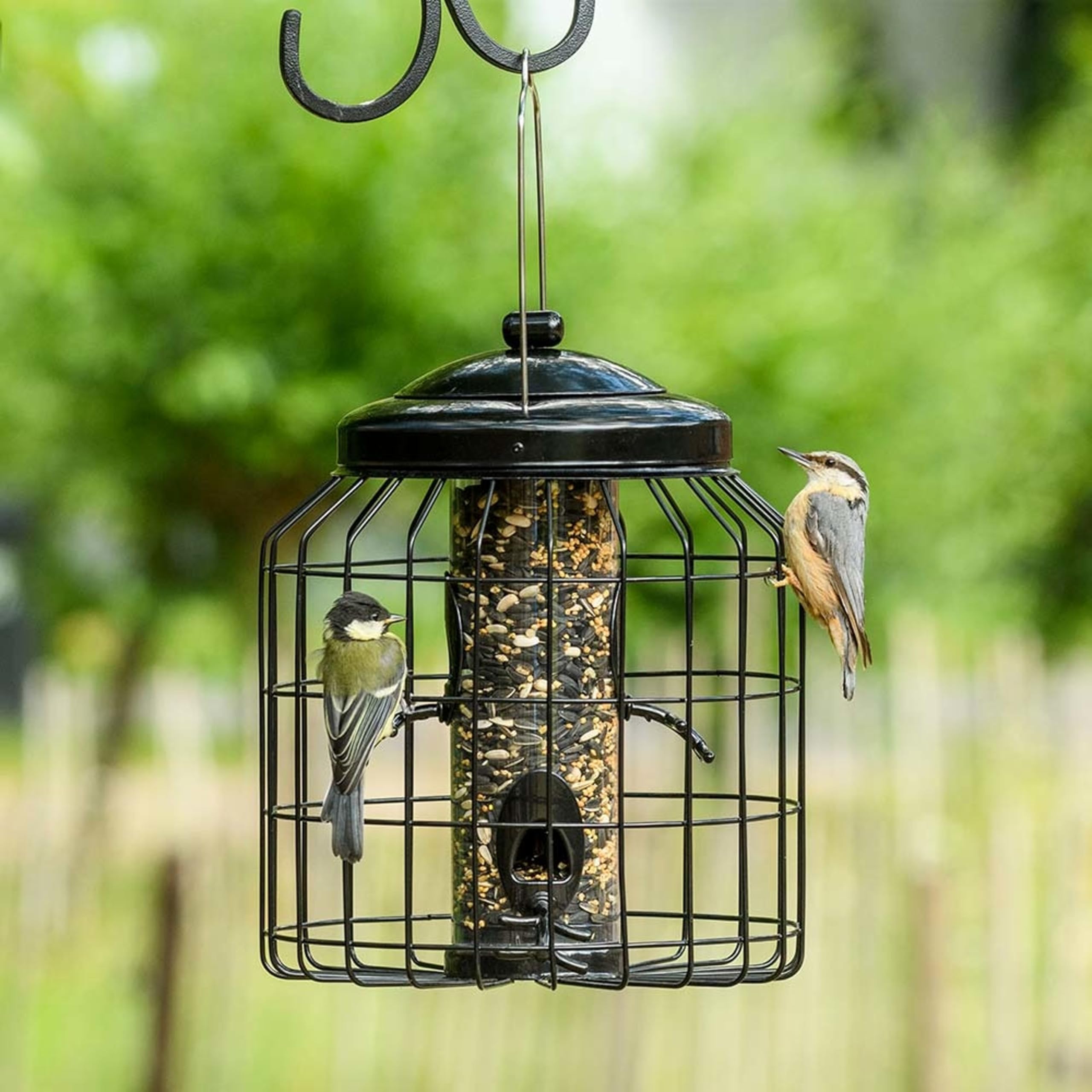 CJ Wildlife Caged Bird Feeder for Small Birds – Hanging Bird Feeder – Large-Bird Resistant Powder-Coated Metal Protective Cage