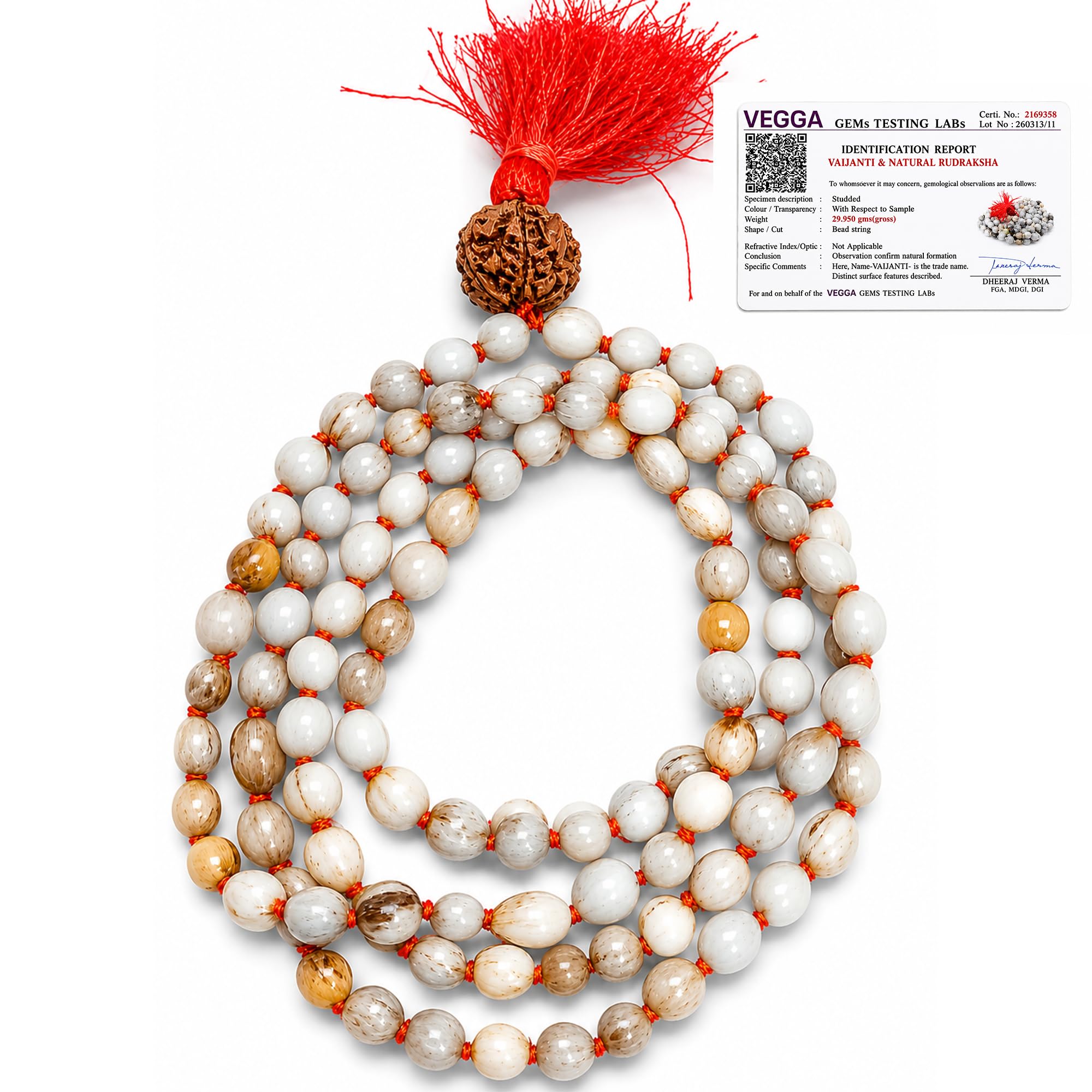 Vaijayanti Mala Original108 Beads with Lab Test Certificate | Vaijanti Mala Original | Vyjayanthimala | Vyjayanthi Mala | Sacred Vaijanti Beads for Puja & Chanting | Baijanti Original-picture-13