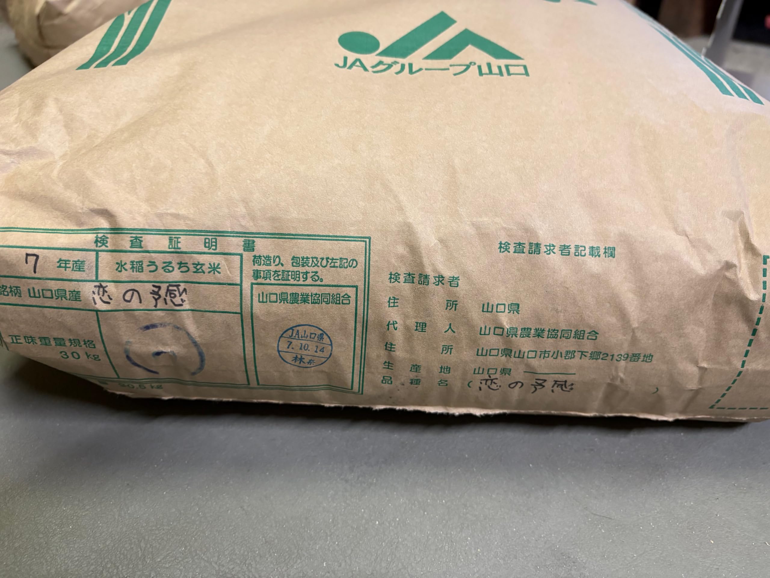 Amazon.co.jp: 山口県産 恋の予感 5kg 令和7年産 : 食品・飲料・お酒