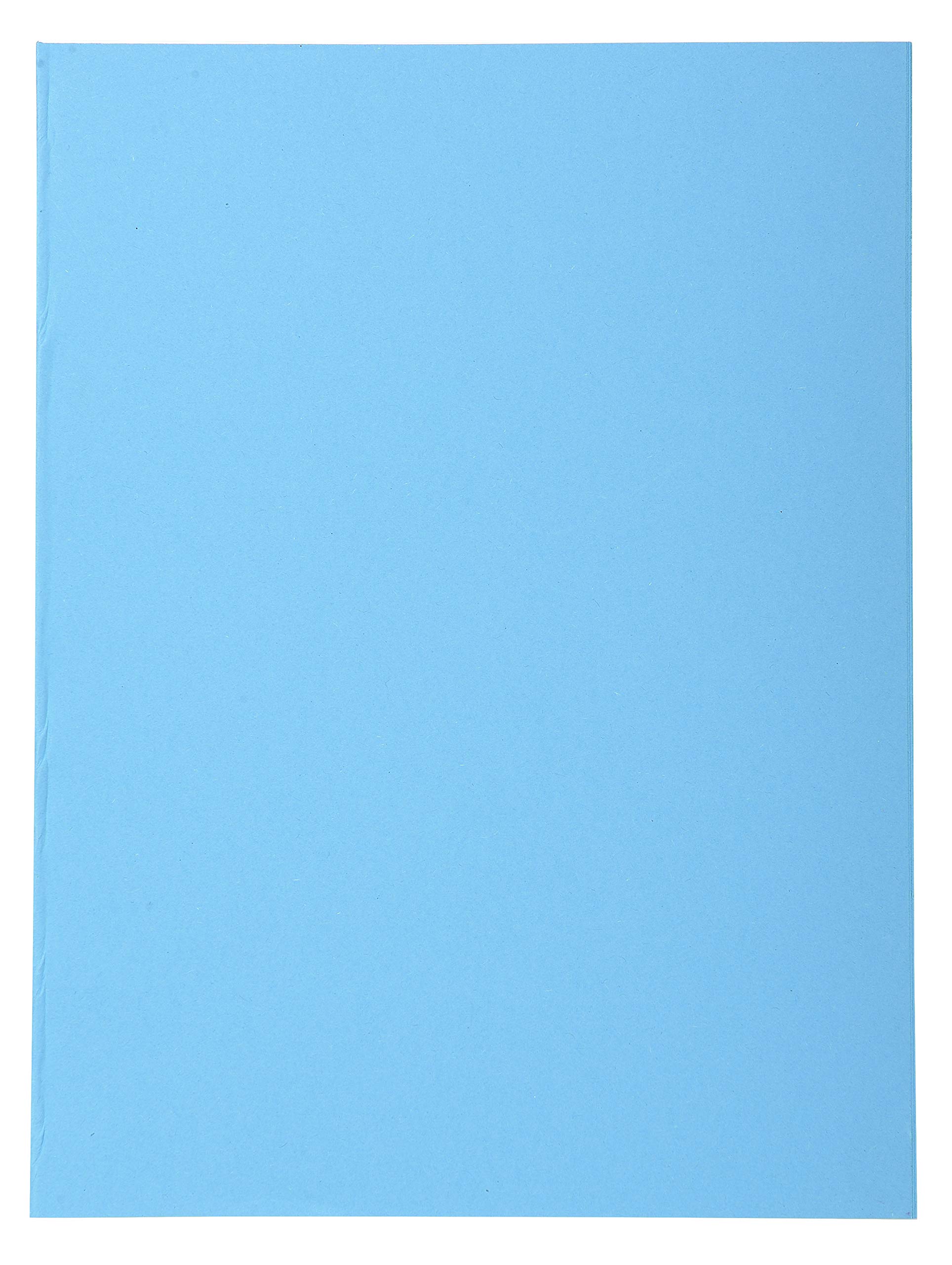 Exacompta 420010E - Lote de 100 Subcarpetas Forever® 180, Color Azul