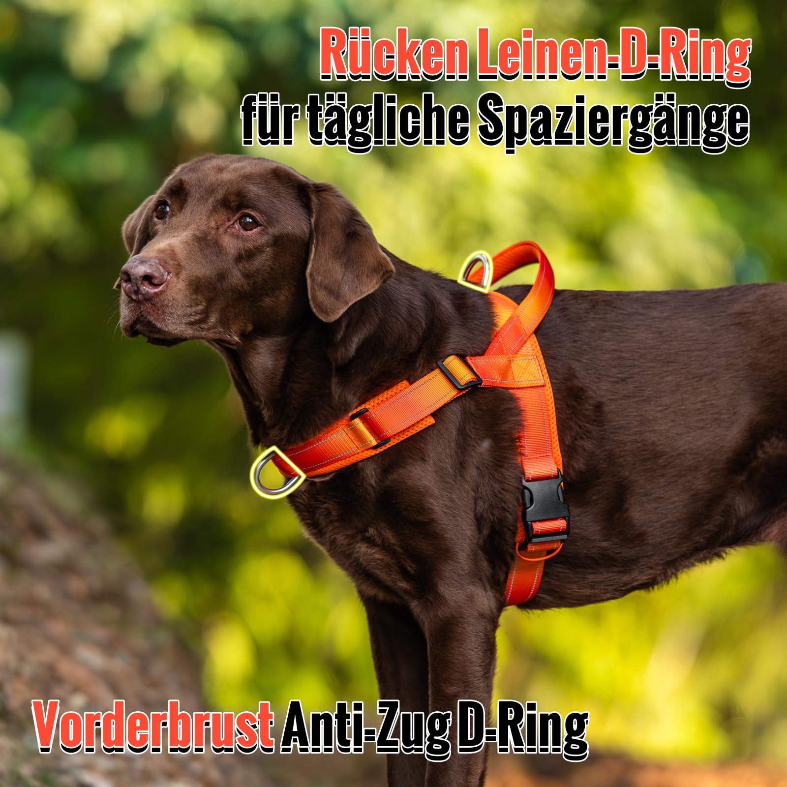 Arblina Hundegeschirr, Anti-Zug Hundegeschirr für Mittelgroße und Große Hunde, T-förmiges Anti Zieh Hundegeschirr mit Reflex, Brustgeschirr Gepolstert für Pitbull, American Bullies, Orange L