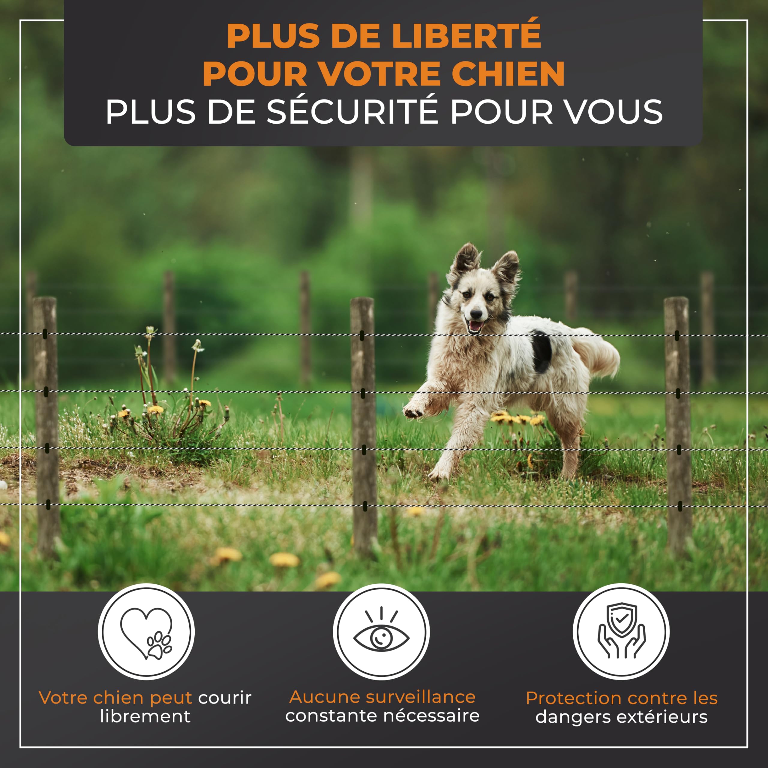 Kit Complet clôture électrique avec 200 m de Ruban - Set Complet avec Appareil Secteur, Mise à la Terre, piquets, testeur LED & isolateurs à Anneau - Idéal pour Chevaux & Animaux sensibles
