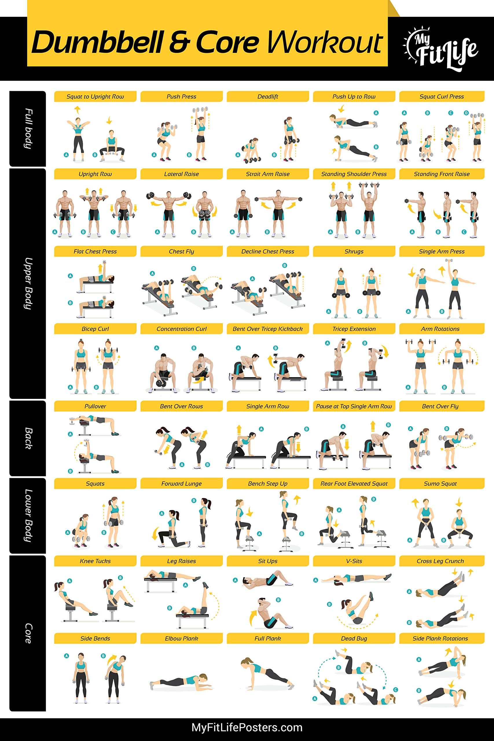 Gym Dumbbell and Core Workout Poster Laminated :: Illustrated Guide with 40 Exercises for Full Body and Core : Hang in Your Home or Gym, for Men & Women, 24” x 36"