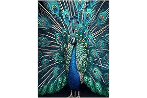 Enliven Your Abode with Stunning Peacock Wall Art (12" x 16")