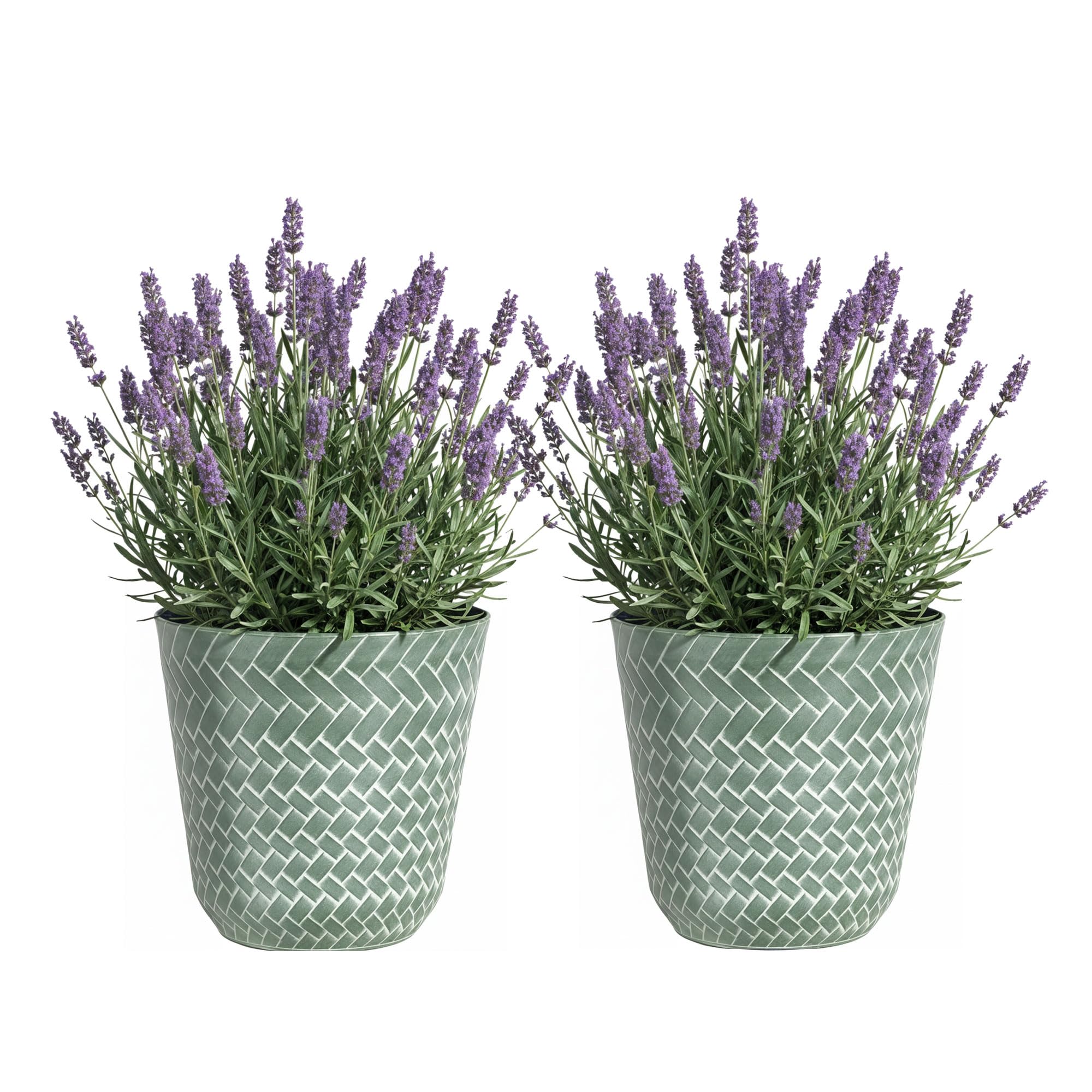 SG Traders Nantucket Plant Pot - Flower Planters Outdoor, Large Garden Plant Pots Elegant Design, Versatile Pots and Planters for Your Outdoor, Enhance Your Garden with Planters (Pack of 2)