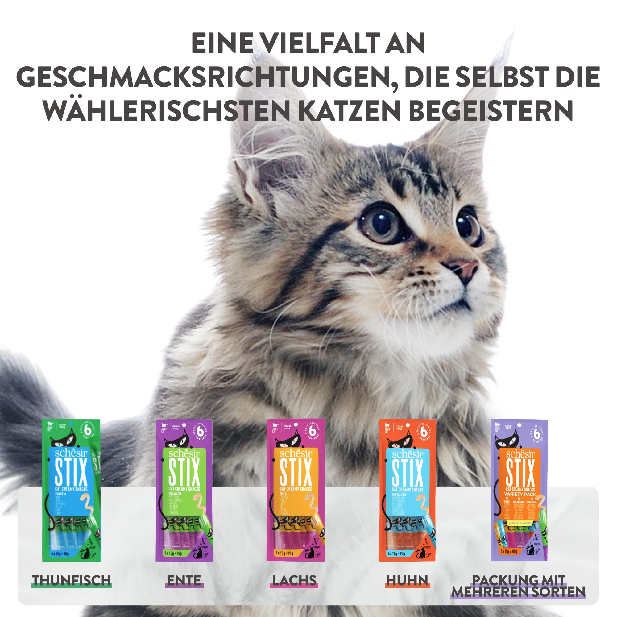 Schesir Stix, Variety Pack, cremige und ergänzende Snacks für Katzen (12 Packungen mit je 6 Snacks)