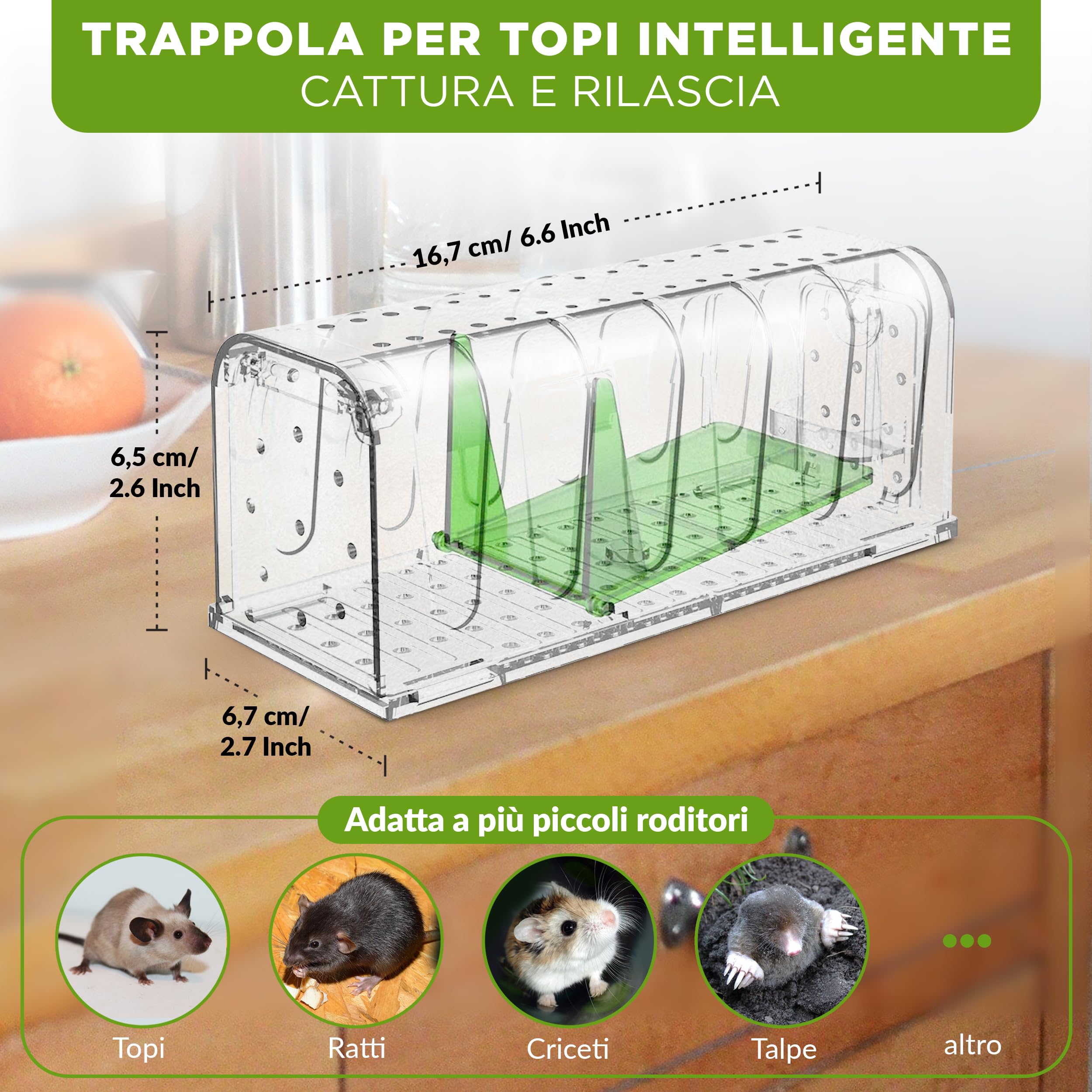 Trappola per Topi Viva Con Scatola per Esche - Facile Da Usare, Facile