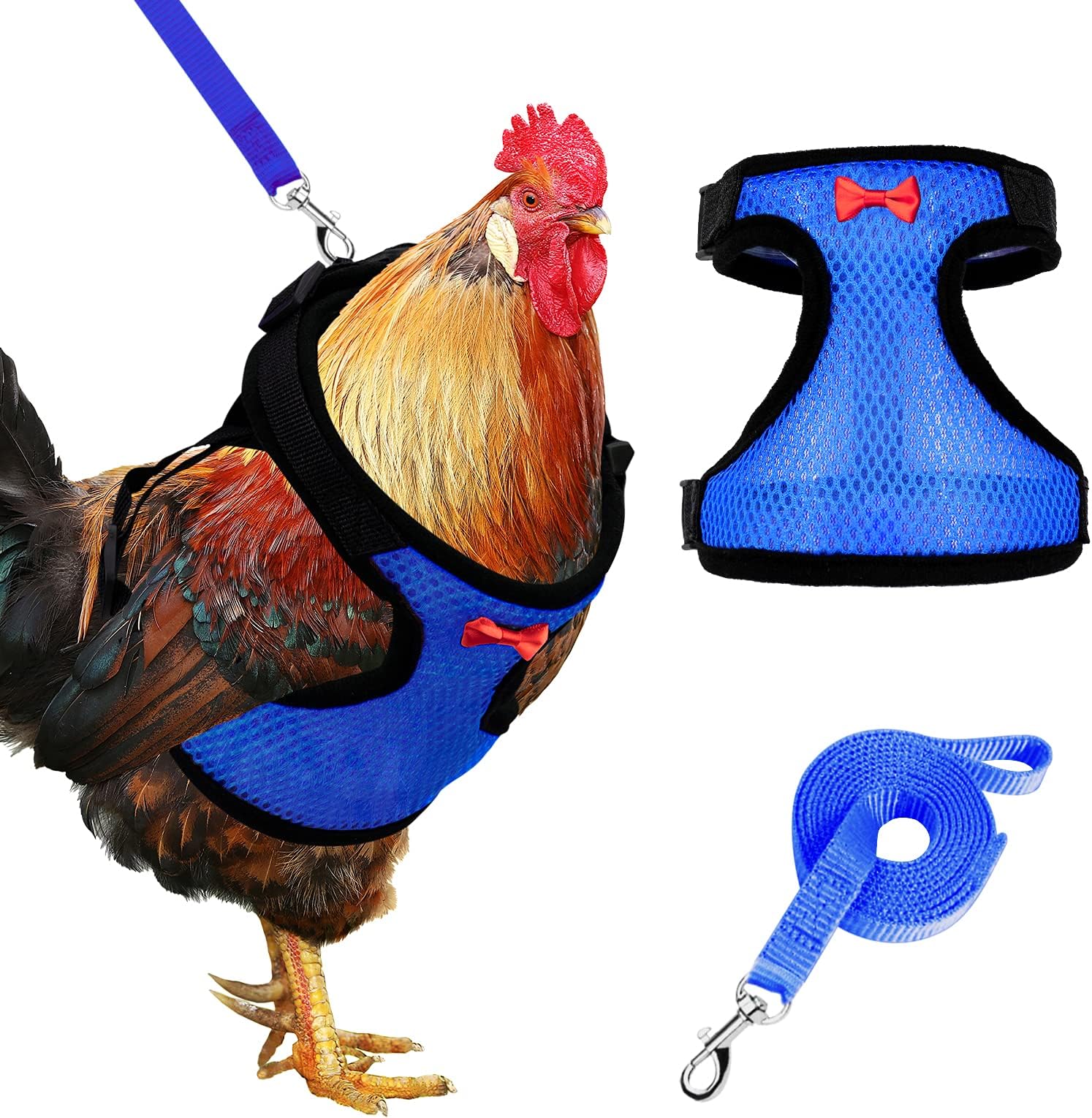 Adhafera Chicken Harness with Leash, Upgraded Double Adjustment Chicken Harness and Leash Set for Hens, Duck, Goose, Small Pet (Bule, L)