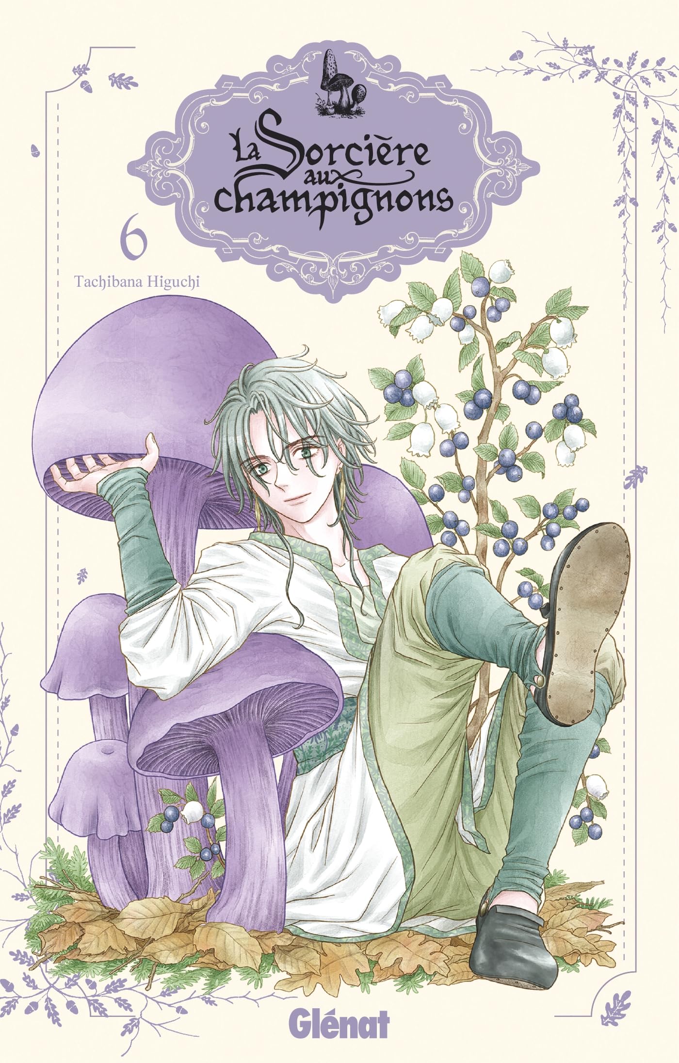 La sorcière aux champignons - Tome 06