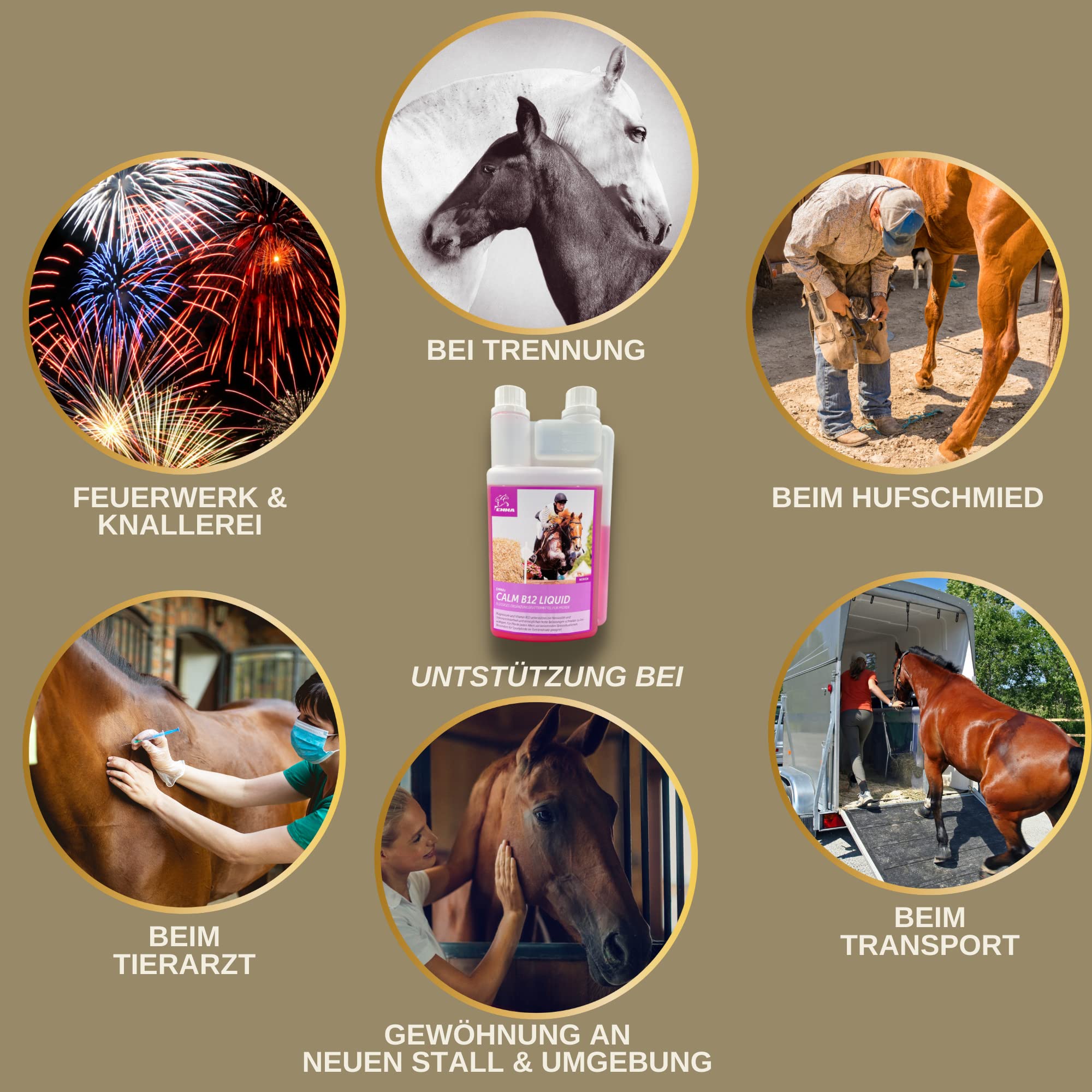 Magnesio Caballo Vitamina B12 I Calm I Antiestrés para calmar los Nervios I L Triptófano líquido I Vit B 12 para la ansiedad Relajación I para el Transporte I apoya la Calma Caballo nervioso Pony 1L