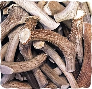 WhiteTail Naturals | Cuernos de ciervo premium para perros | Paquete de 1 libra (lb) | Masticables de perro de cuernos nat...