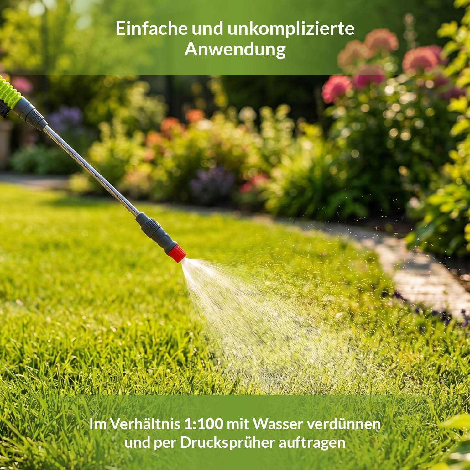Terra Domi 500 ml Rasenunkrautvernichter für bis zu 600 m² Rasenfläche, Referenzmittel: Dicotex stark gegen übliche Unkräuter & schwer bekämpfbare Arten, Herbizid für den perfekten Garten