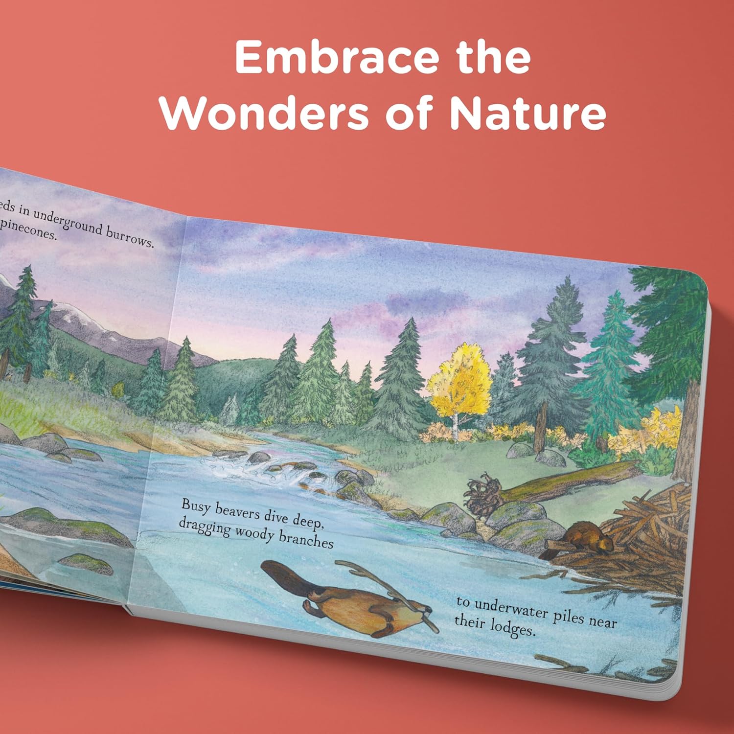 When Fall Comes: Connecting with Nature as the Days Grow Shorter - Image 4