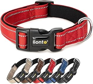 lionto Hundehalsband aus strapazierfähigem Nylon, Größe S, weiches gepolstertes Halsband für Hunde, 360° reflektierend & Klickverschluss, Metallring & Anpassung durch stufenlosen Schieber, rot product image