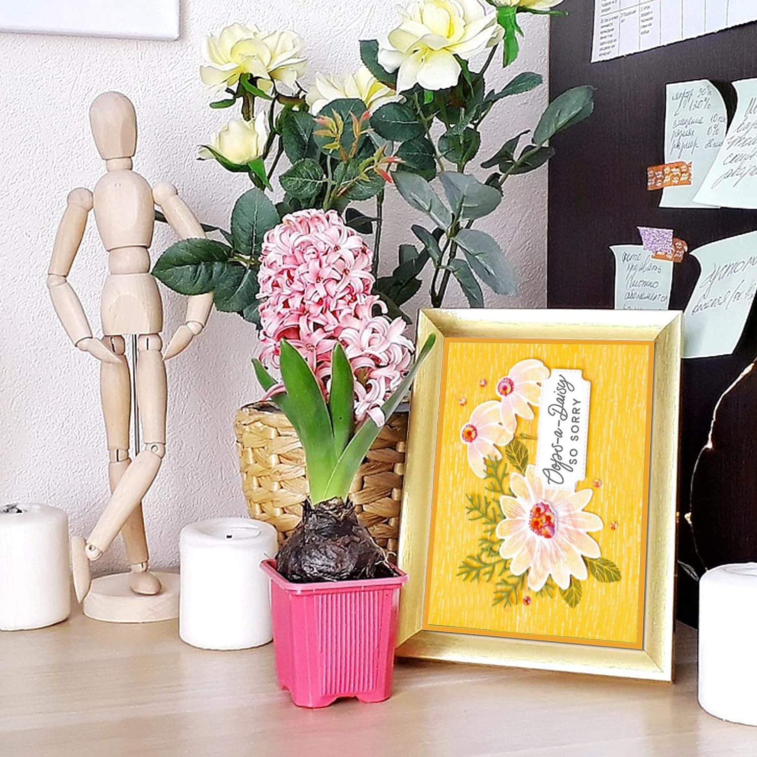 Lot De 10 Roses De Jéricho Petites - Plante Résurrection Décoration Intérieur - Boîte Cadeau