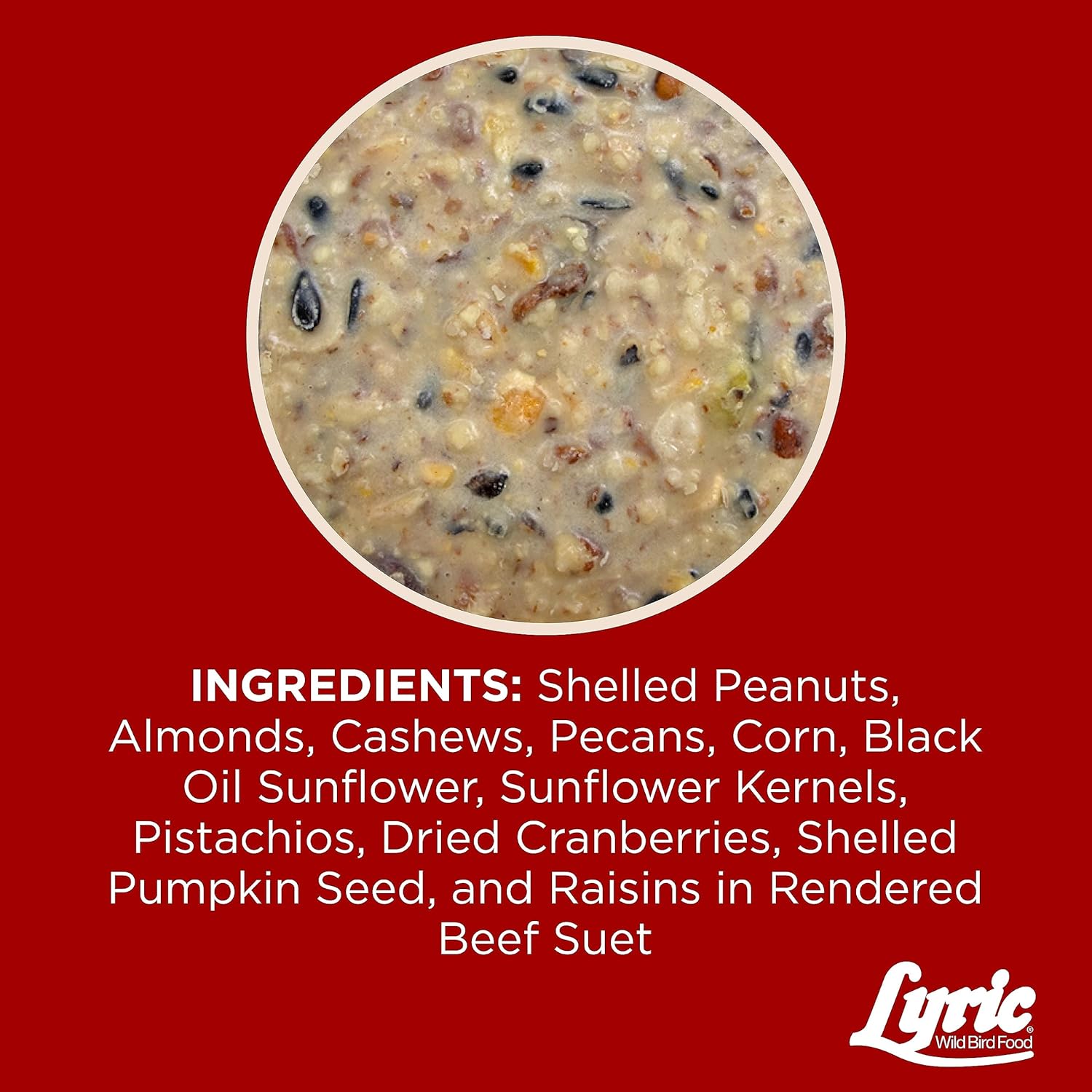 Lyric Fruit & Nut Wild Bird Seed Suet Cakes for Wild Birds, 12 oz. (12 Pack)
