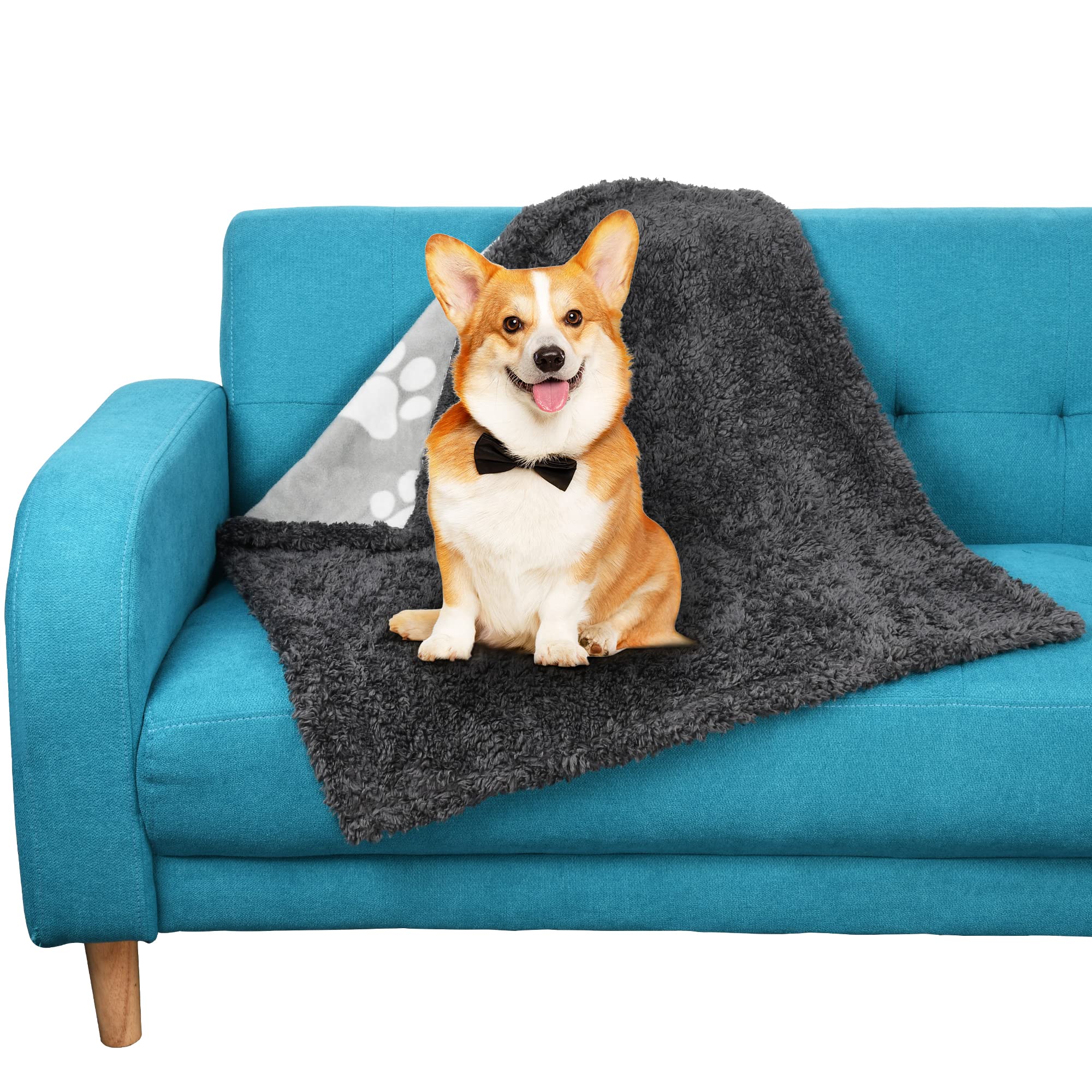 Kato Tirrinia Waterproof Dog Blanket, 51×76cm Smooth sherpa fleece Pet Blankets for Small and Medium Dogs Double Sided Reversible Pets Bed Sofa couch Cover Protector Washable Puppies Throw Protects