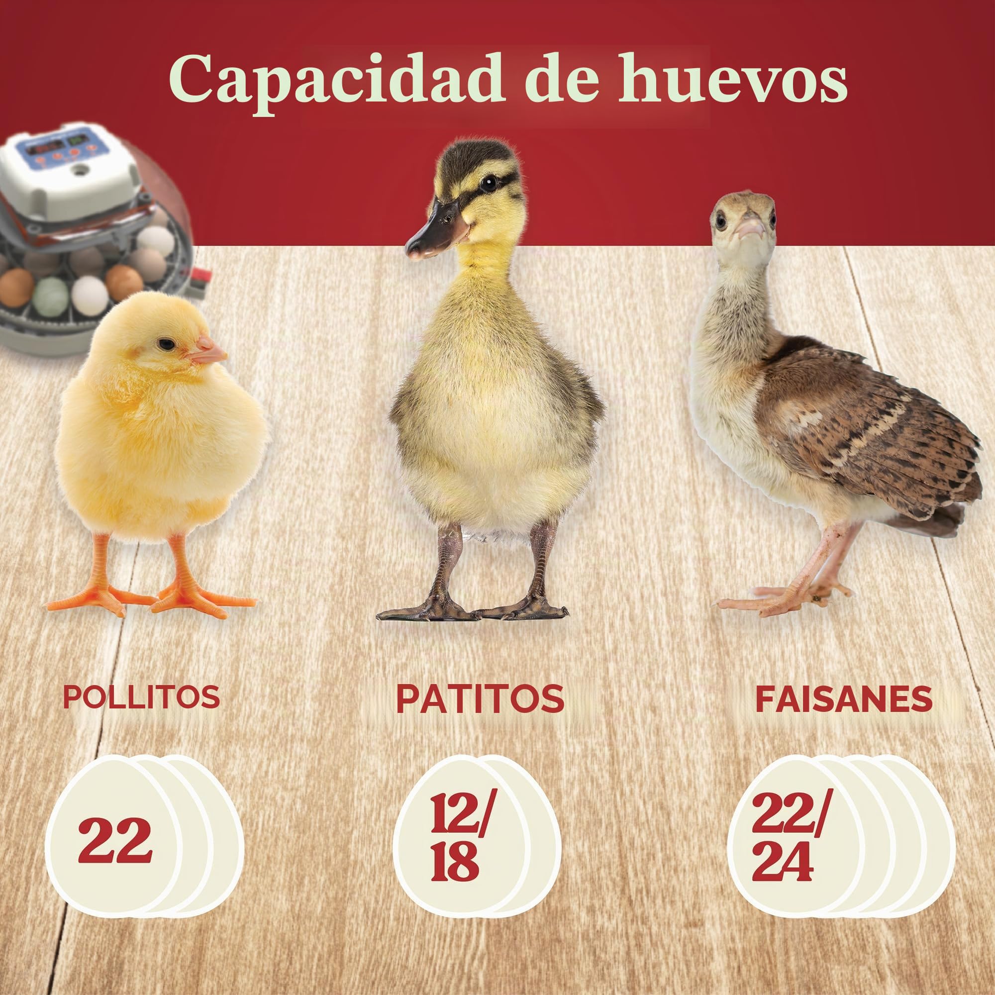 Harris Manna Pro Farms Nurture Right Incubadora | Incubadora de Huevos para incubar Pollitos | Vista de 360 Grados