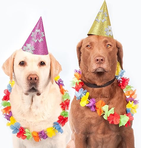 Miniatura 72 de 24 hojas de papel de cartulina con purpurina blanca, papel brillante A4 de primera calidad para álbumes de recortes, proyectos de bricolaje, Blanco