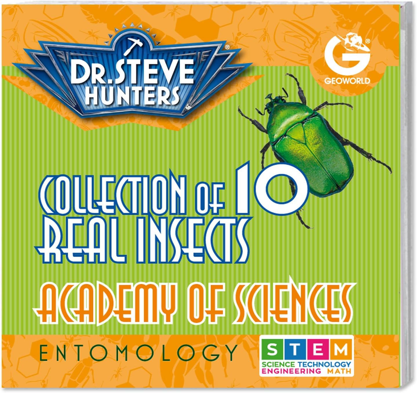 Dr. Steve Hunters - Bugs World Collection - 10 REAL insects - Scientific Educational Toy