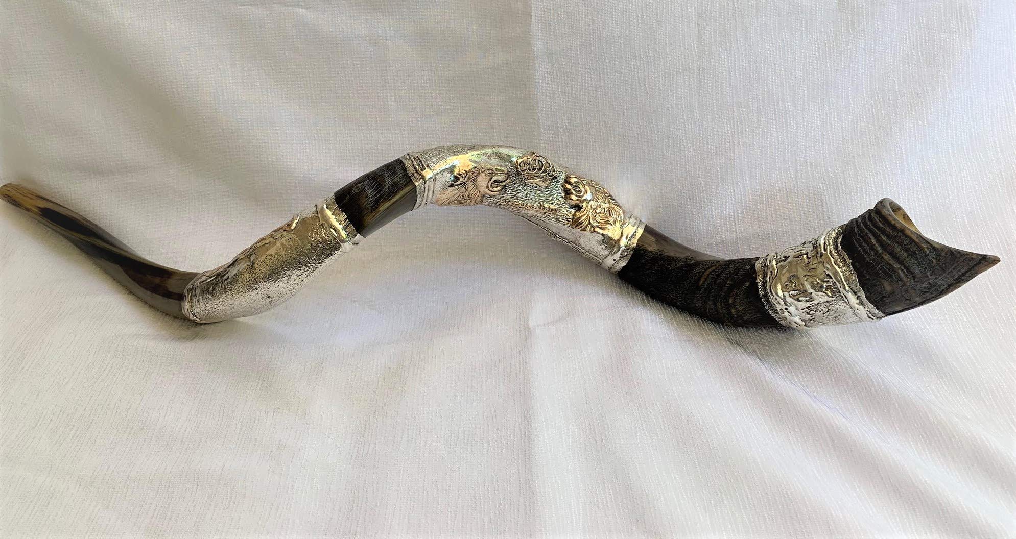 Niesamowity posrebrzany 114 cm róg jemeński Shofar Kudu lew