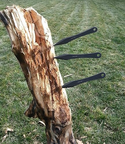 Miniatura 3 de JXE JXO Juego de púas de lanzamiento, 9.4 pulgadas de acero inoxidable sin giro con funda de cinturón de nailon