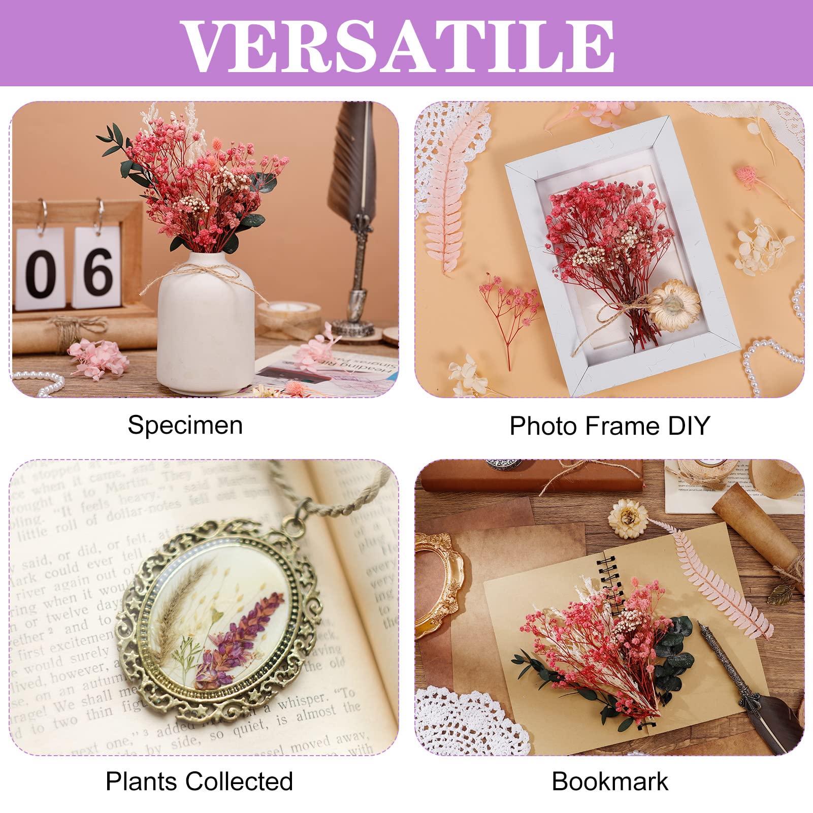 Lot De 69 Fleurs Pressées Séchées Naturelles Multicolores - Pour Résine époxy, Scrapbooking, Bougies, Nail Art, Décoration Créative - 4