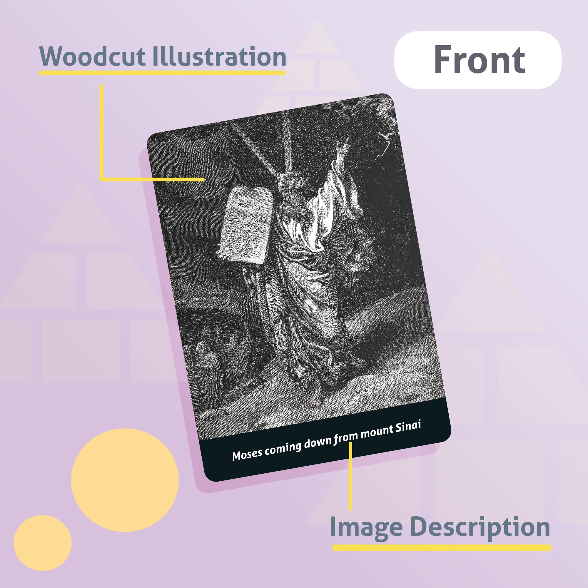 CARDDIA | Books of the Bible Flash cards (2025 Edition) | Woodcut Illustrations, Color-Coded Divisions & Key Facts | Perfect for Bible Study, New Christians & Meaningful Christian Gifts - Image 2