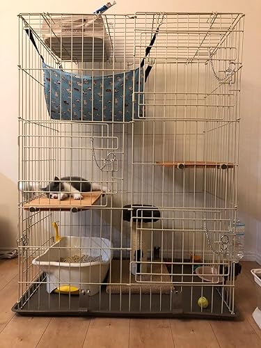 Amazon | マルカン キャットフレンドルーム | マルカン | キャット