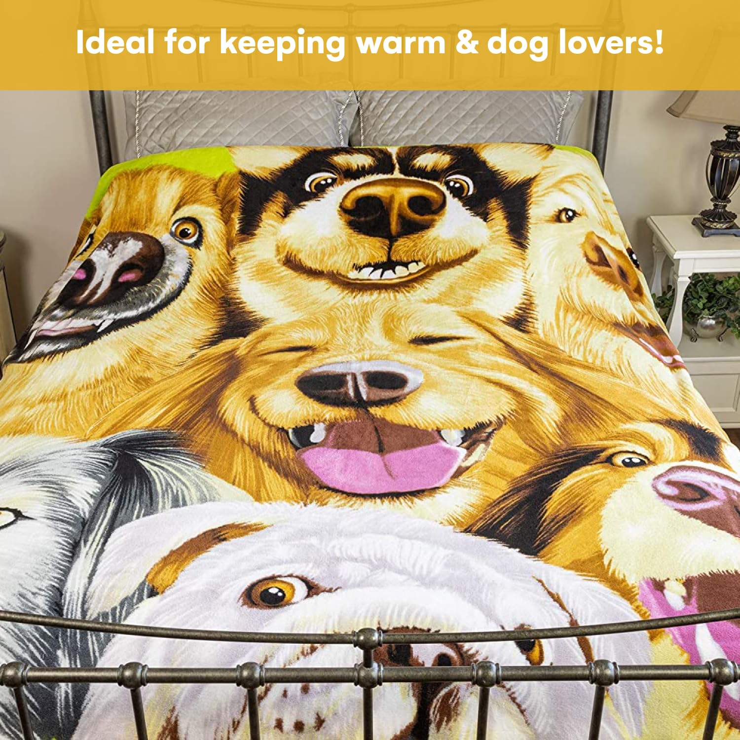 https://m.media-amazon.com/images/I/81VPcrK-CFL.jpg