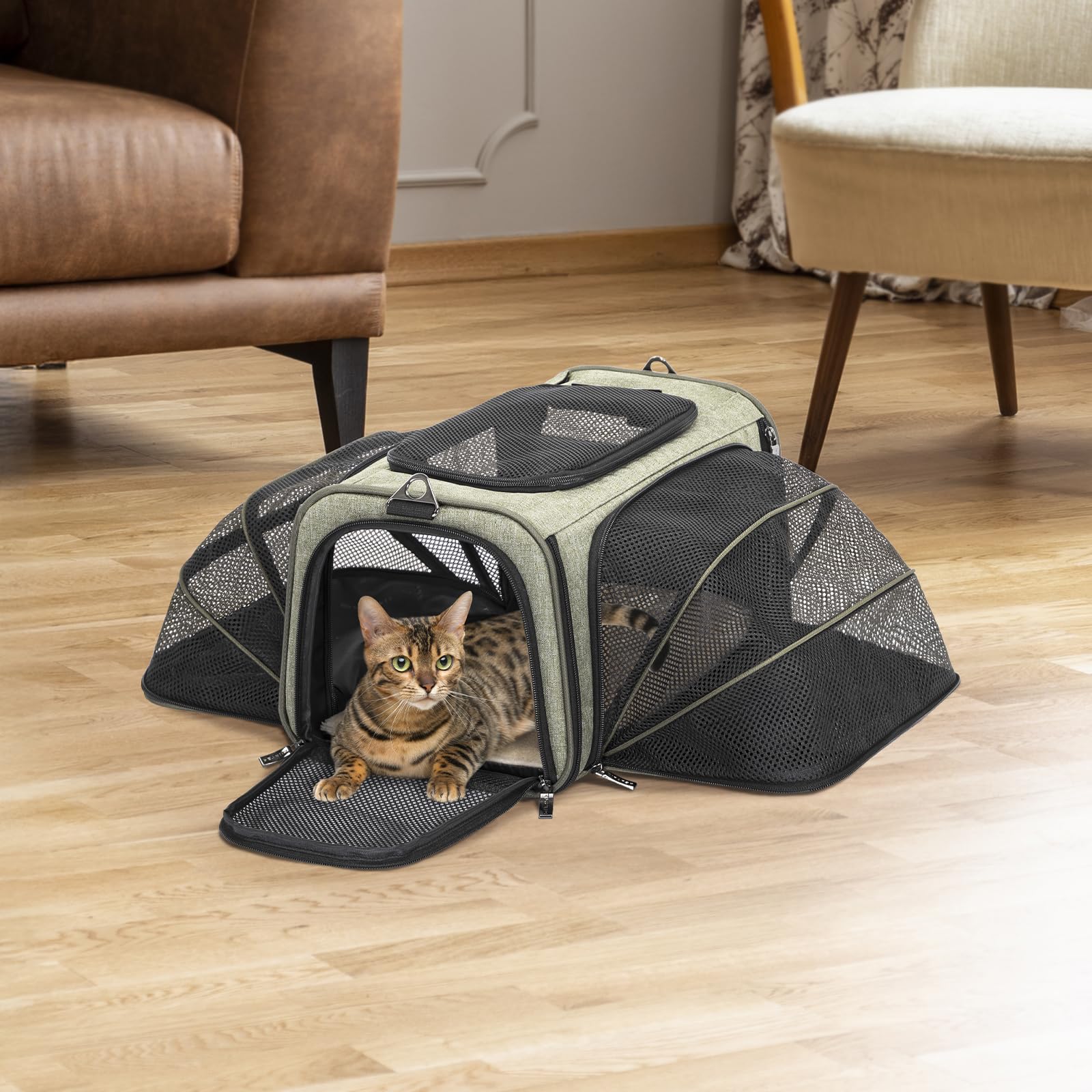 Petsfit Scatola per il trasporto di gatti approvata dalle compagnie aeree, espandibile su entrambi i lati, morbida borsa pieghevole con tappetino in pile, per il trasporto