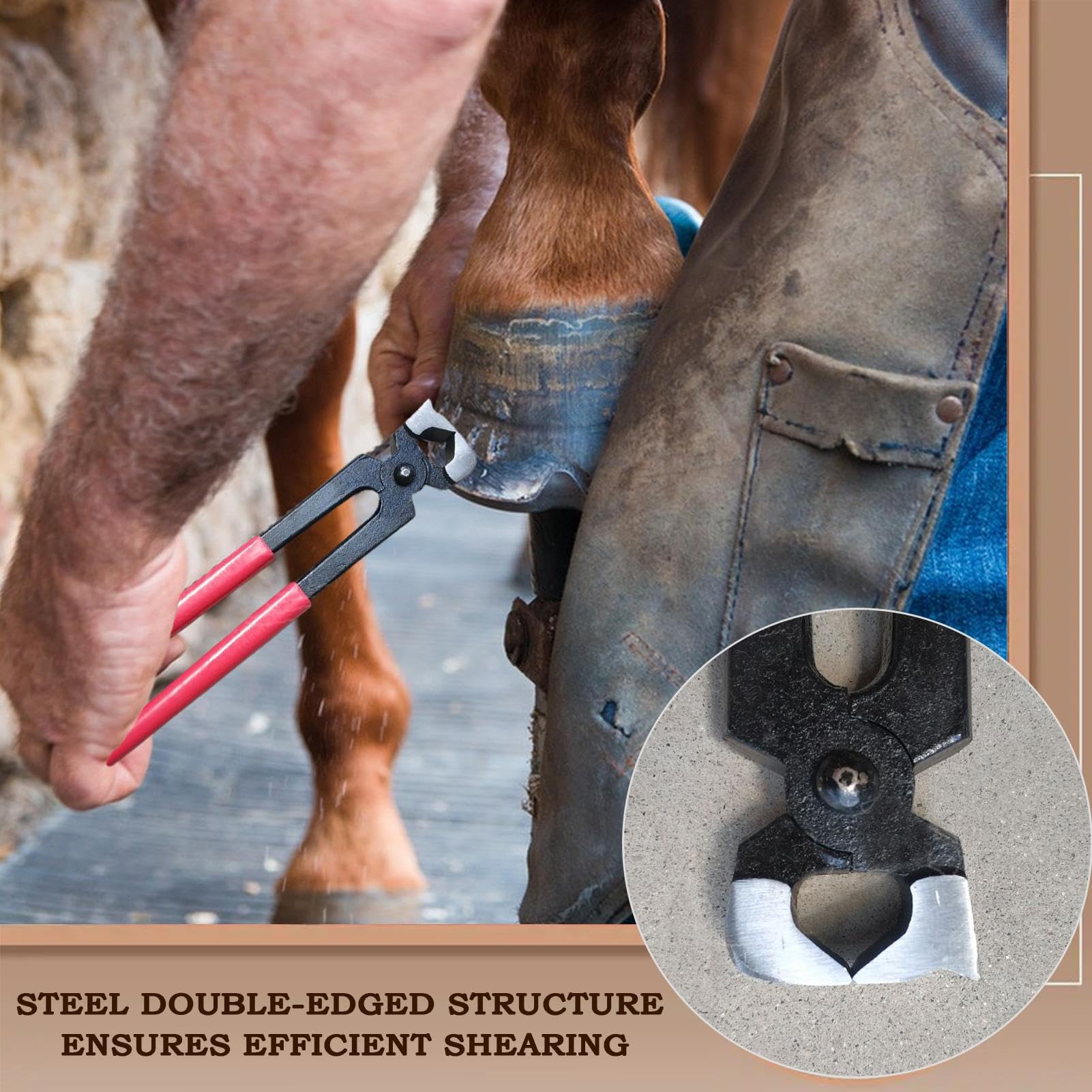 Tenaglie da Zoccolo per Pinze da Maniscalco Resistente | Attrezzi Per La Rifinitura Degli Zoccoli Cavallo Per La Manutenzione E Il Taglio Zoccoli Fattoria Ranch E Scuderia