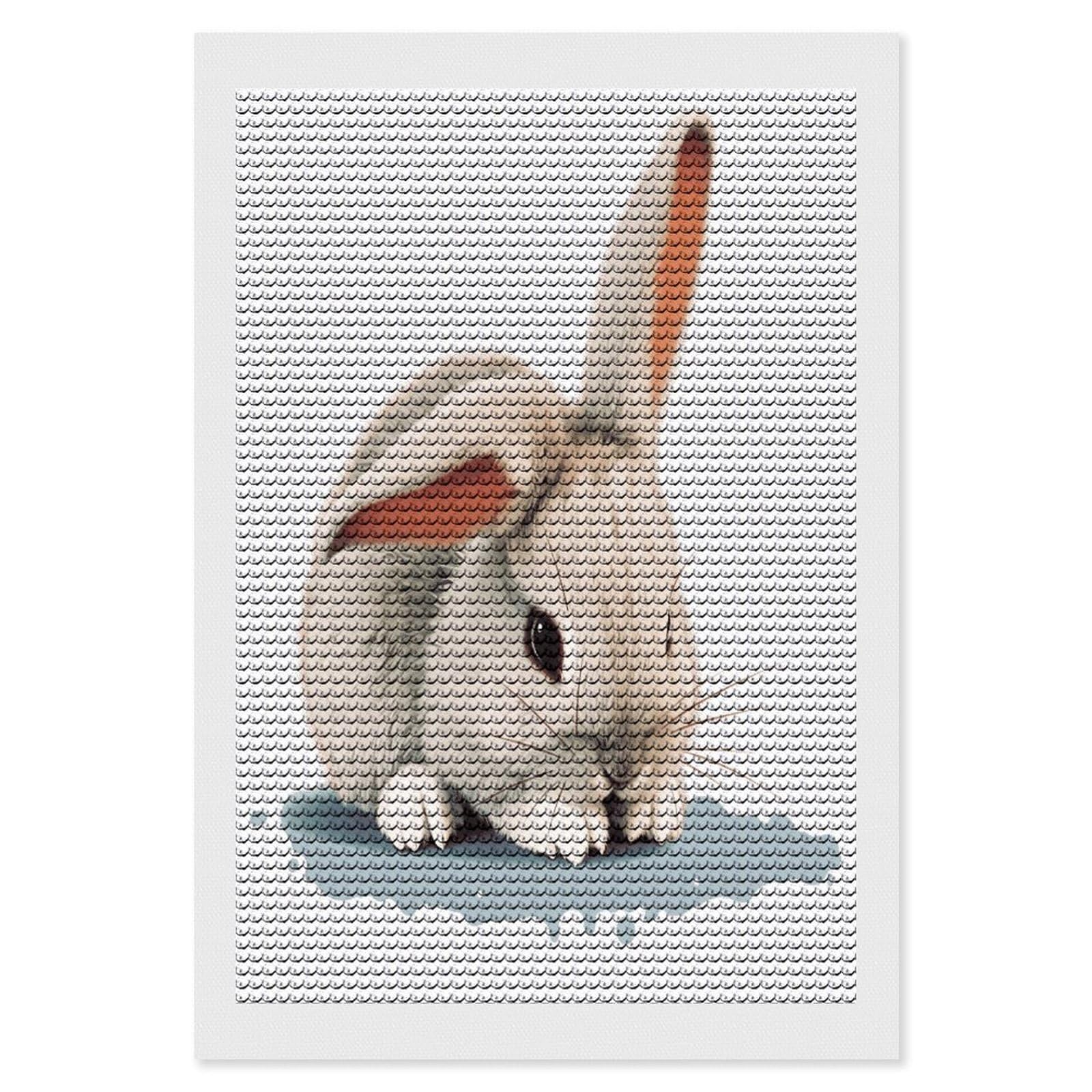 FekiLoot Cry Rabbit Diamond Art Kits for Adults Diamond Painting Kits for Beginners DIY Diamond Art Kits Round Full Drill Diamond Dot Gem Painting for Home Wall Decor Gift 8"x12"