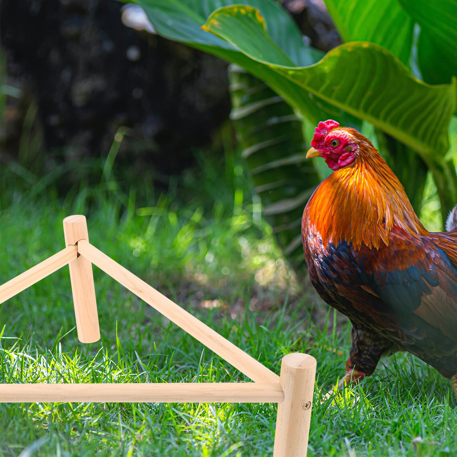 Hemobllo Posatoio in Legno per Galline e Uccelli Beige, Supporto Rialzato Multifunzione Pollaio, come Giocattolo e Riposo per Animali Domestici