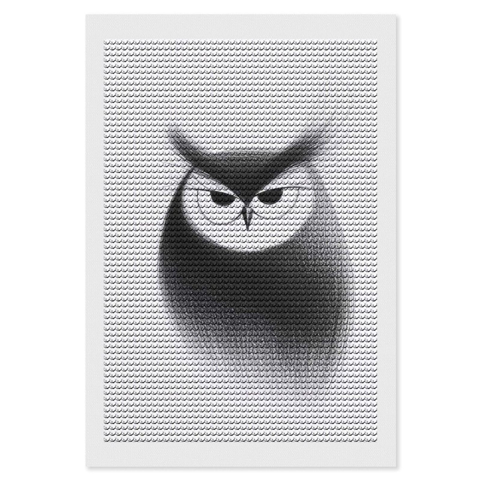 Junmoney Black and White Owl Illustration Diamond Art Kit 8"x12", Creative Leisure Activity, Complete Accessories, Vintage Style Decor, for Women