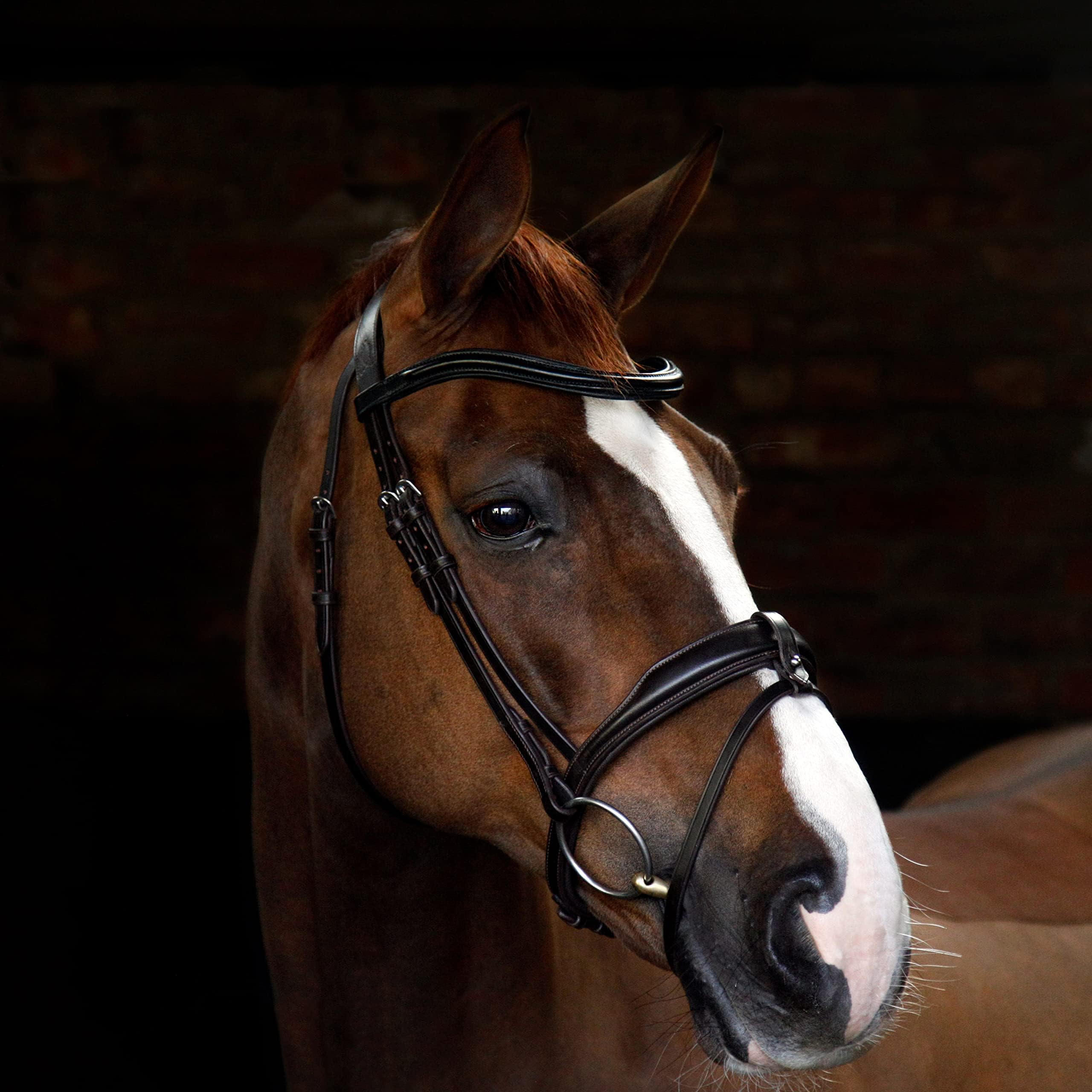 Harry Hall Cottage Craft Flash Bridle | Anatomical Horse Bridles | Flash Noseband For Pony Cob Full Extra Full | Leather Tack