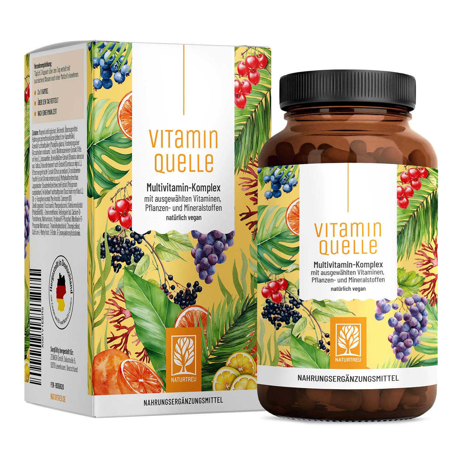 NATURTREU® All in One Multivitamin & Mineralien Komplex - 35 wertvolle A-Z Vitamine und Mineralstoffe - Multi Vitamin Kapseln hochdosiert - Vegan und ohne unnötige Zusatzstoffe