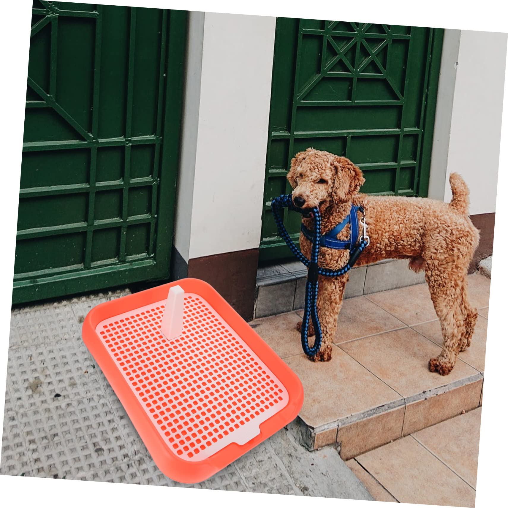 GALPADA Mesh Dog Toilet Pad for Puppy Training Slide Design Portable Indoor Pet Potty Ergonomic and Easy to Store for Dogs