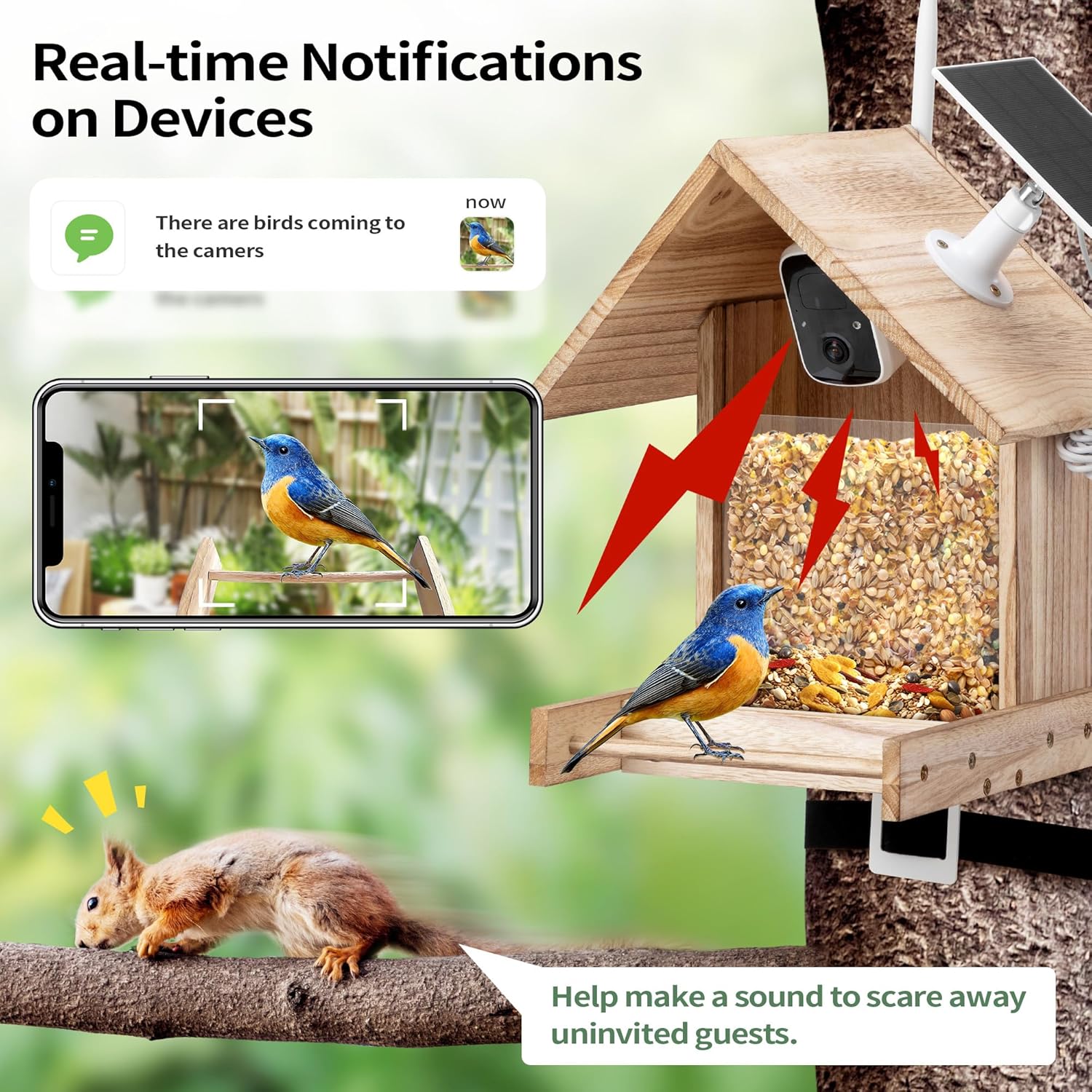 COZIWOW Bird Feeder with Camera,1080P HD AI Identify Birds Watching Camera,Squirrel Proof Hummingbird House Cam,Solar Powered,Auto Capture Birds Motion Detection,Live View,Ideal Gifts for Avid Birder