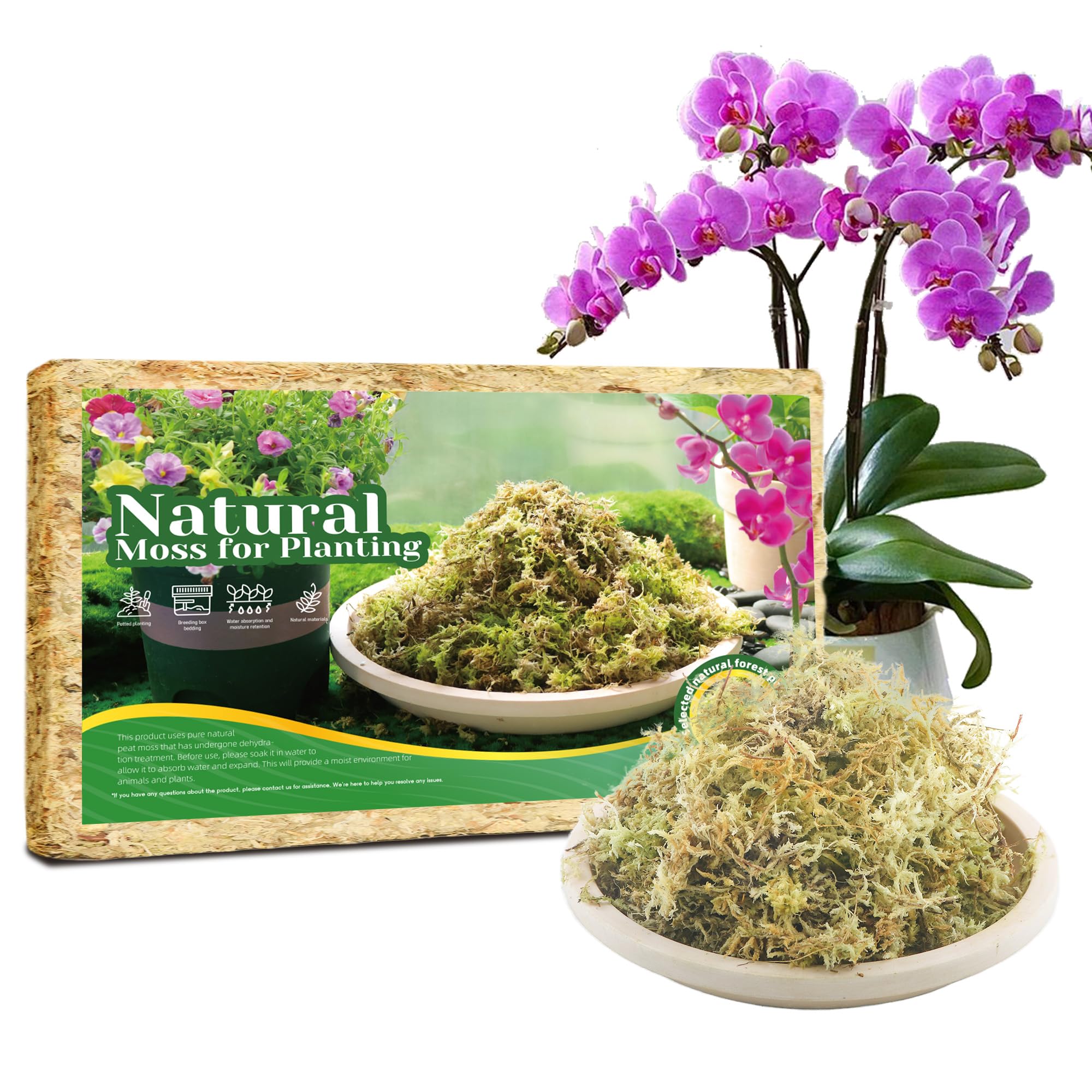 6Oz Sphagnum Moss for Plants Indoor, Premium Peat Moss for Reptiles Terrarium-6 Quarter, Natural Long Fiber Orchid Moss for Repotting Propagation Succulent Sarracenia Carnivorous Gardening